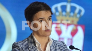 Brnabić pokazala volju